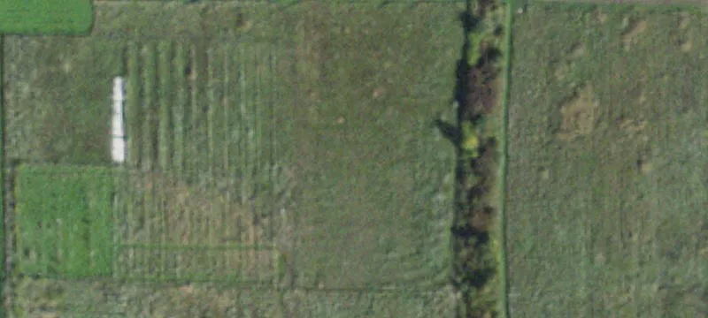 5-Acre Building Lot with Orchard