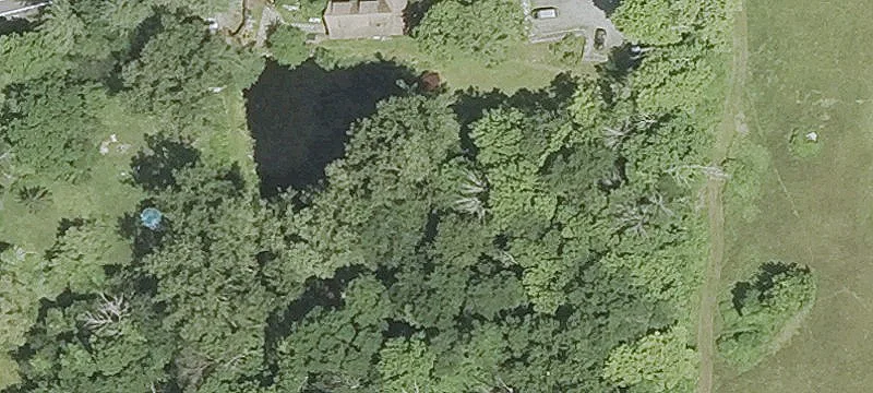 2.3 Acre Wooded Land Parcel