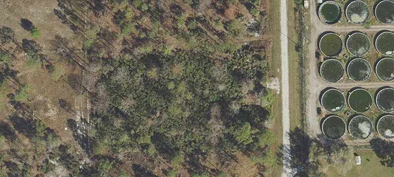 1.25-Acre Lot in Clewiston, FL