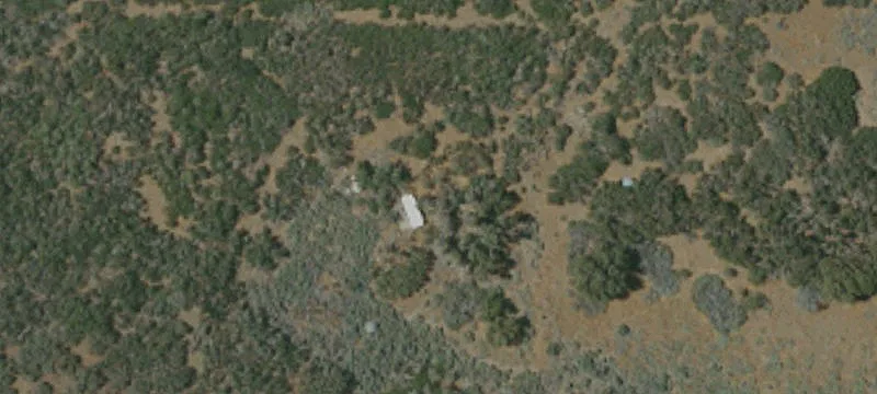 Alpine Forest Acreage with Well