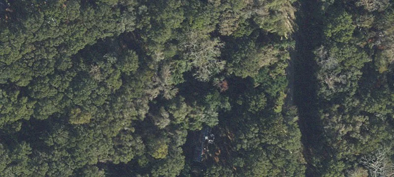 Wooded Land Parcel in Trenton