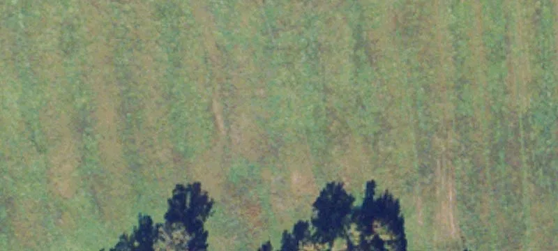 125 Acres Historic Whitehall Estate