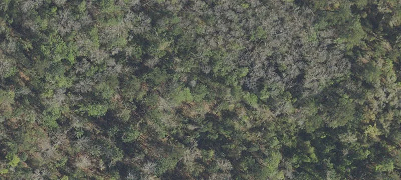 Residential Land in Sunny Hills