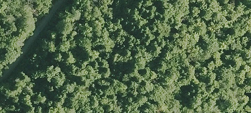 Alexandria Land Parcel For Sale