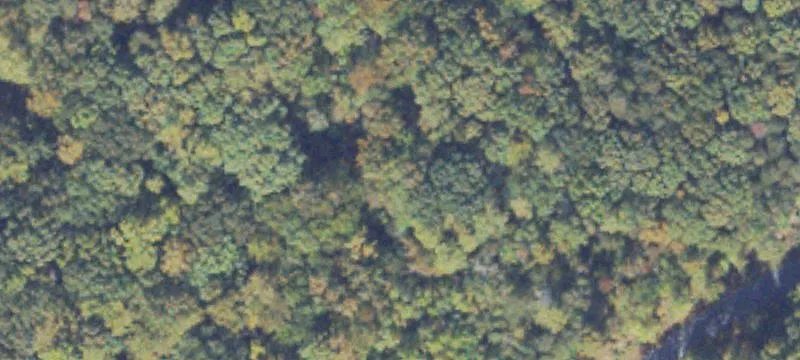 9.99 Acres Wooded Land