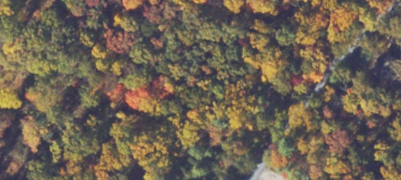 6 Acres Wooded Land Parcels