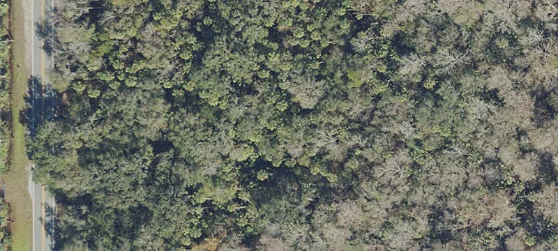 Expansive Homesite in Desirable Community