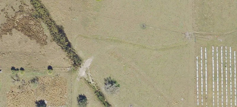 10 Acres Farmland with Crops