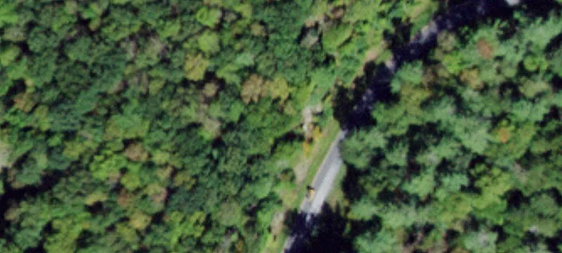 30-Acre Wooded Parcel in Narrowsburg