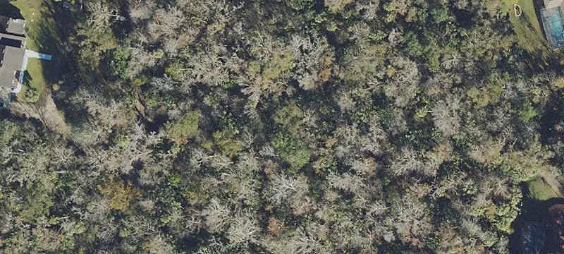 Wooded Homesite Near Lake Monroe