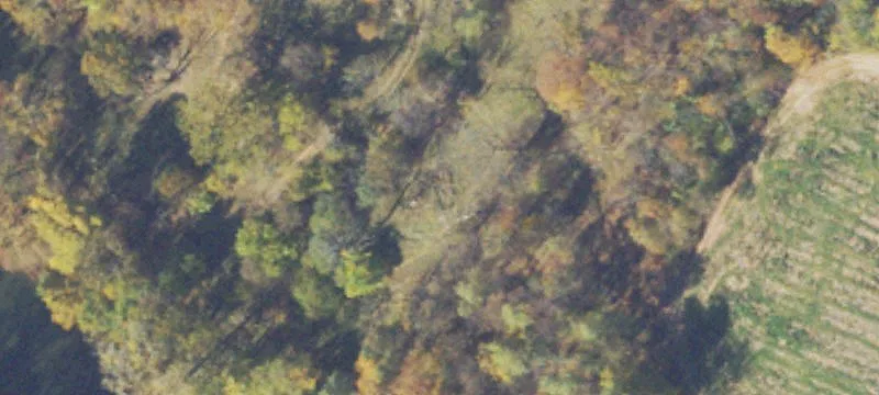 Riverfront Acreage Near Broadway, Virginia