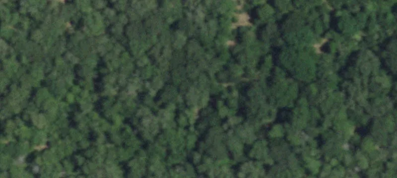 46 Acres with Barn and Home