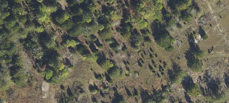 350-Acre Industrial Land Opportunity