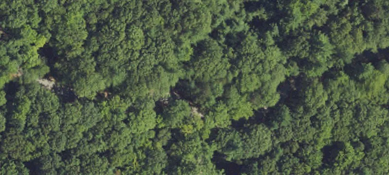 Land Parcel in Bramblewood Estates