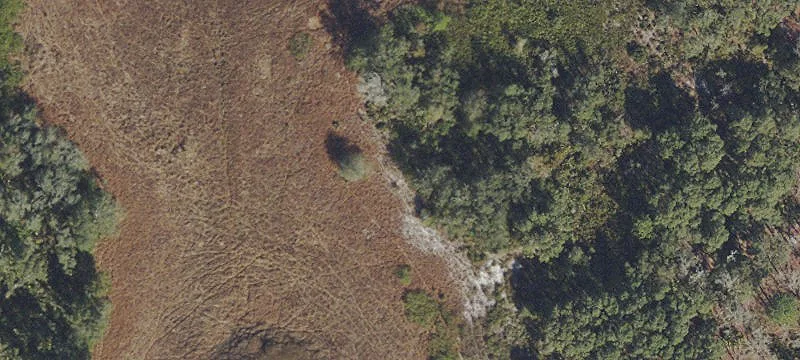 5 Acres Florida Land Parcel