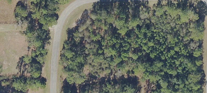 Buildable Lot Near Lake Lochloosa
