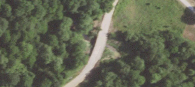Pine Timber Tract For Sale
