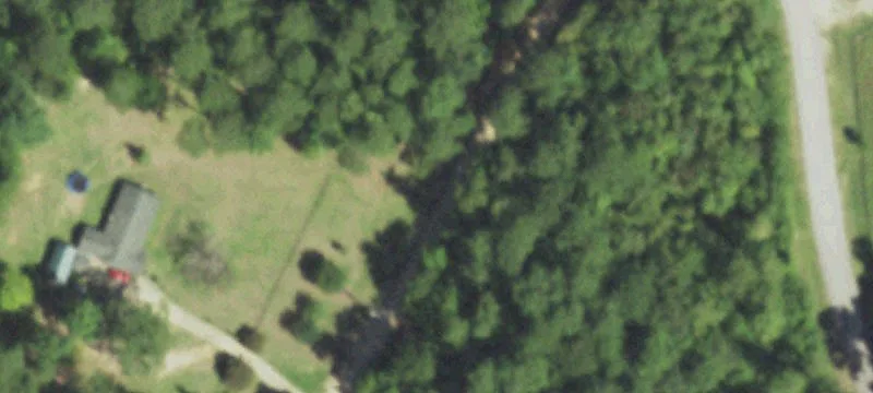 Unrestricted Land with Timber