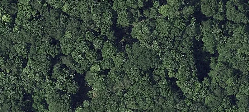 Private Cabin in Western Maryland