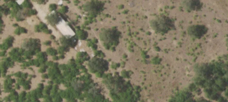 49.27 Acres Near Lockhart