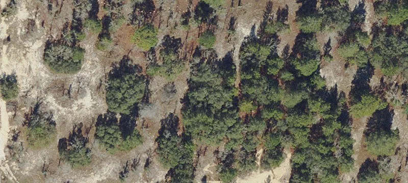 Spacious Land Near Gulf Coast