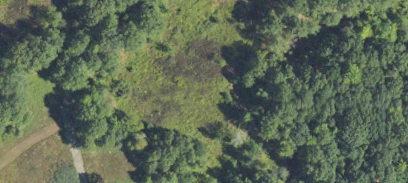 Vacant Land with Hunting Potential