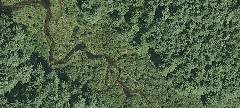 30+ Acres on Page Road