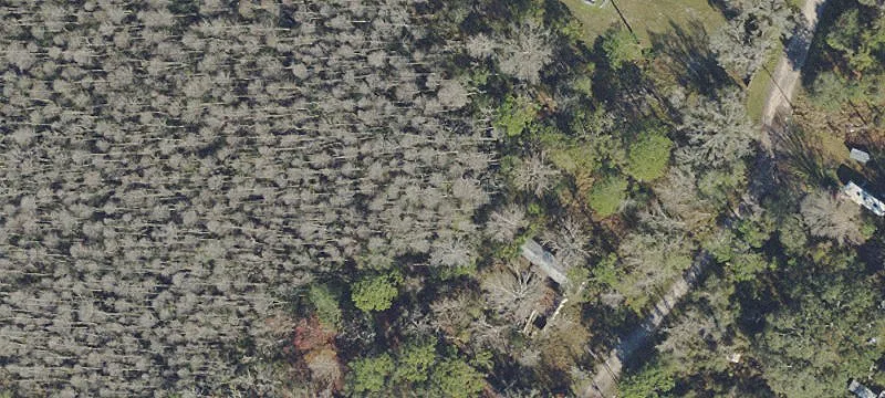 New Port Richey Acreage Opportunity