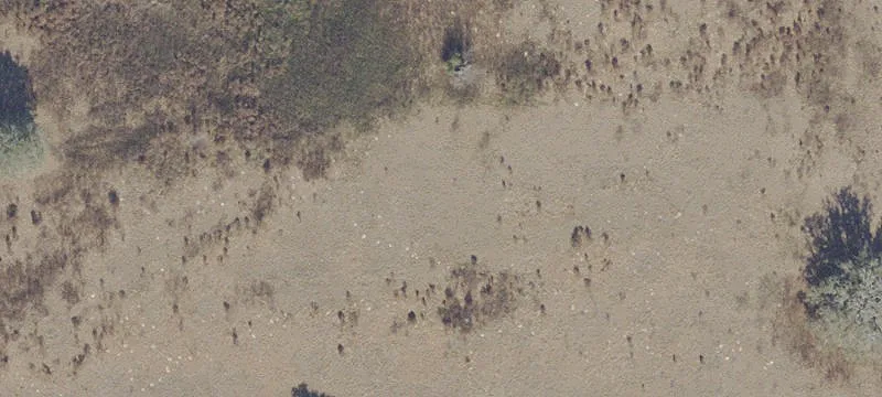 3-Acre Mini Farm Opportunity