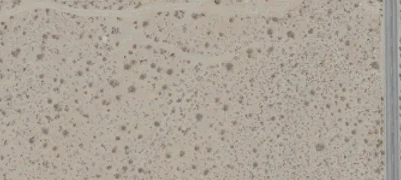 Lucerne Valley 5-Acre Parcel