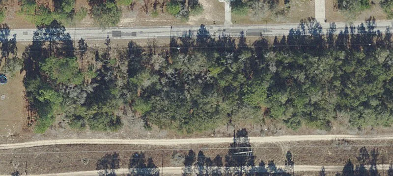 Wooded Lot in Citrus Springs