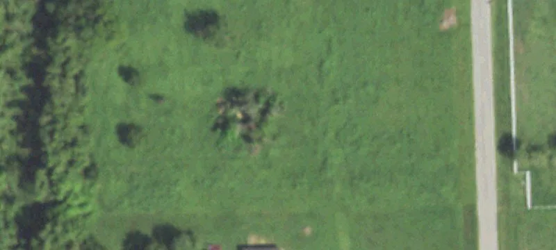 Rosharon Land with Mature Trees