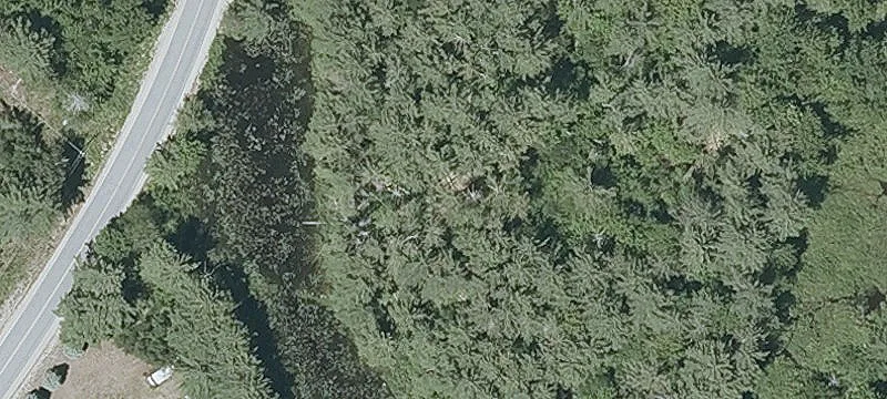 Ossipee Wooded Land Parcel