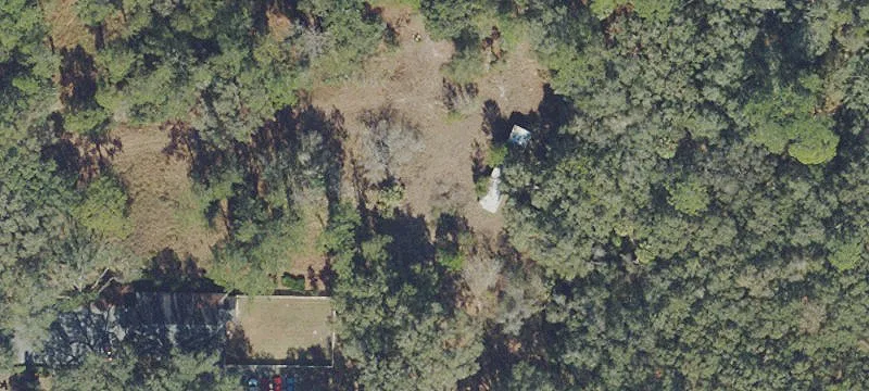 Treed Acres Near Eureka