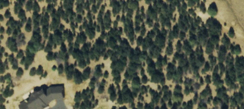 38 Acres Near Salida