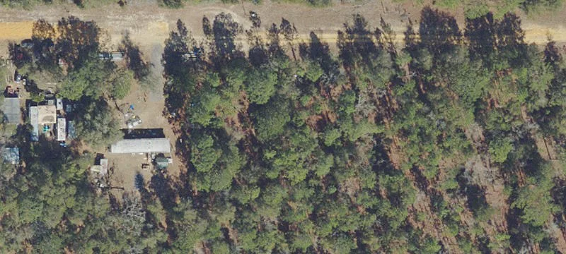 Residential Lot Near Ocala Forest