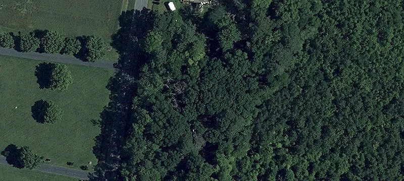 Versatile Land Near Pocomoke City