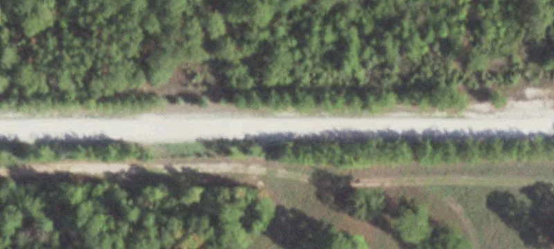 Walker County Wooded Land