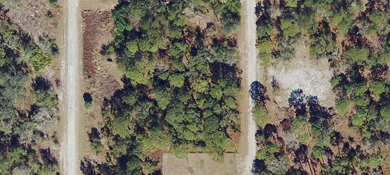 Wooded Lot in Lake Placid