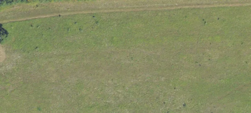 20-Acre Parcel in Mount Morris