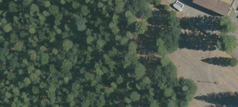 Bucks Lake Wooded Homesite