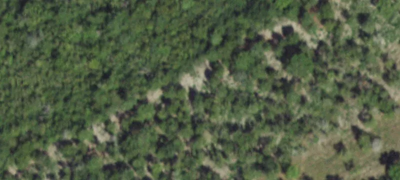 Liverpool, TX Acreage