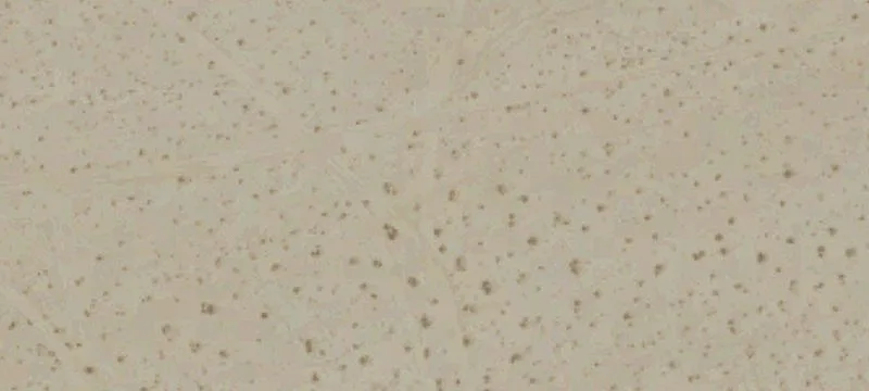 25-Acre Desert Recreational Land
