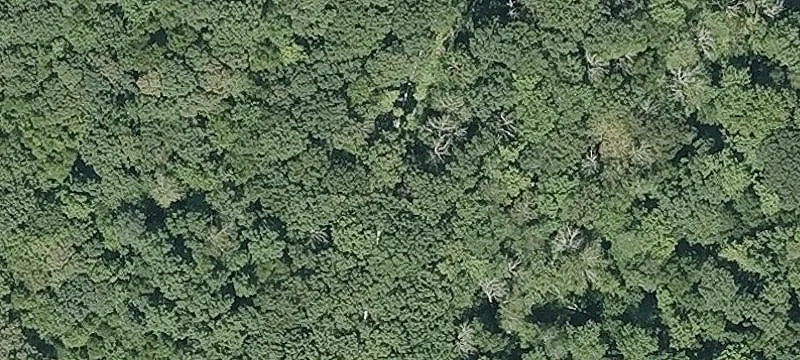 Stafford Land with Development Potential