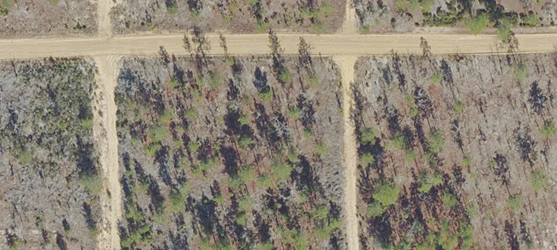 Vacant Land in Interlachen, Florida