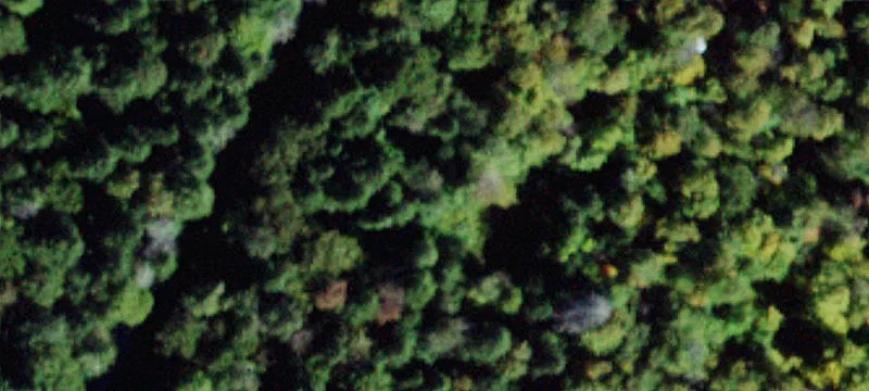446 Acres in Liberty, NY
