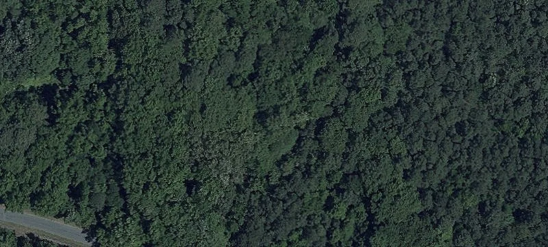 Wooded Lot with Homesite Potential