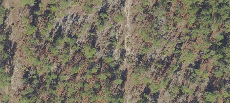 Rainbow Park Wooded Lot