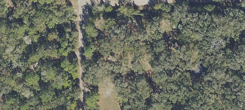 5 Acres in Osceola Acres