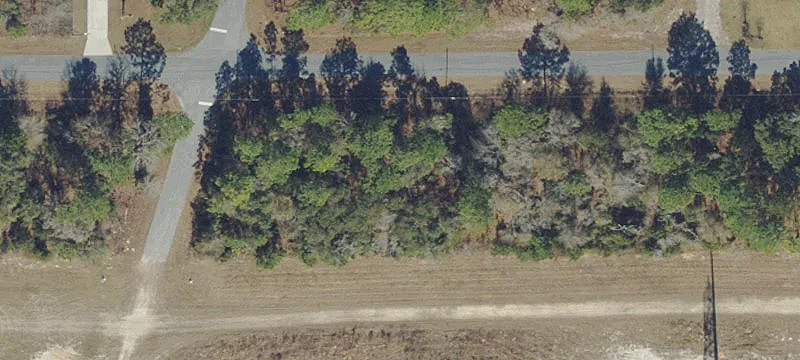 Residential Lot in Citrus Springs